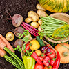 Harvest Supper 2024 at Oxham Hall 